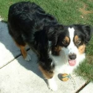 Meet your Posher, Debra